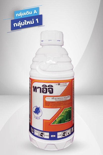 ทาอิจิ