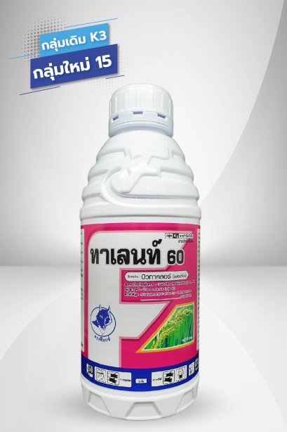 ทาเลนท์ 60