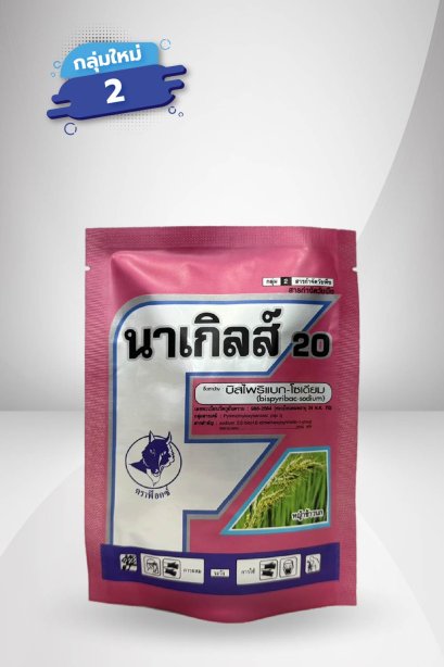 นาเกิลส์ 20