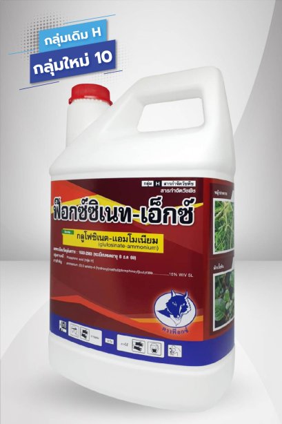ฟ๊อกซ์ซิเนท - เอ็กซ์