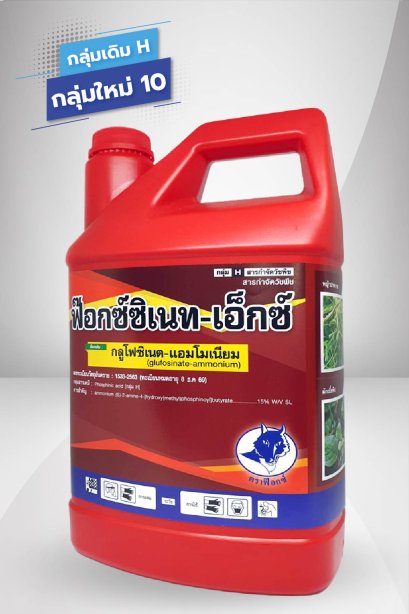 ฟ๊อกซ์ซิเนท - เอ็กซ์