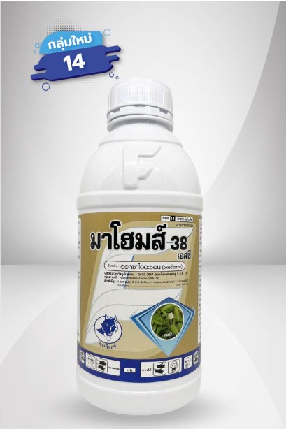 มาโฮมส์ 38 เอสซี