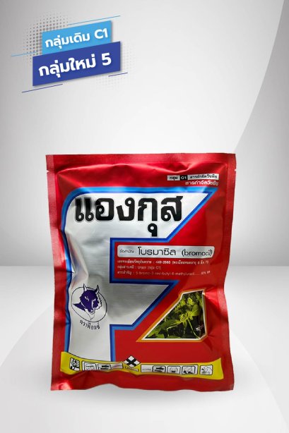แองกุส