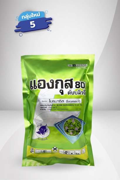 แองกุส 80 ดับบลิวจี