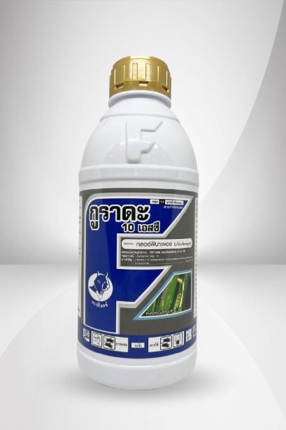 กูราดะ 10 เอสซี