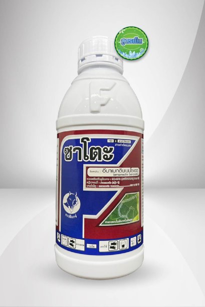 ซาโตะ