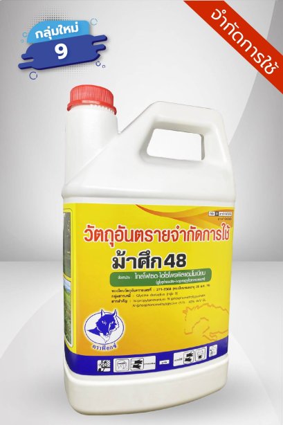 ม้าศึก 48
