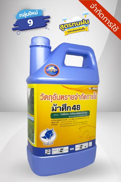 ม้าศึก 48