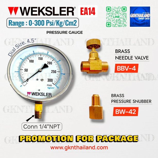&quot;WEKSLER&quot; PRESSURE GAUGE MODEL : EA14MF RANGE : 0-300 PSI &amp; 0-21 KG/CM2 &amp; BRASS PRESSURE SNUBBER &amp; BRASS NEEDLE VALVE