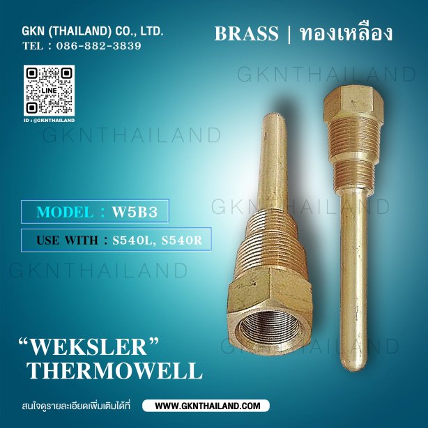 WEKSLER BRASS THERMOWELL W5B3