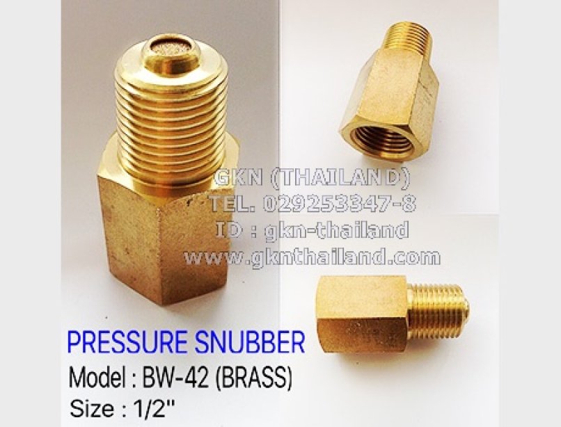BRASS PRESSURE SNUBBER 1/2"