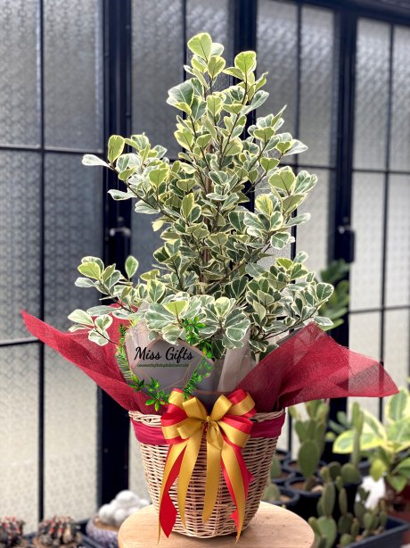 หัวใจเศรษฐี