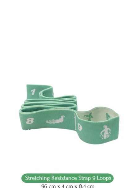 91AH0001 STRS 9 Loops