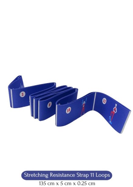 91AH0001 STRS 11 Loops