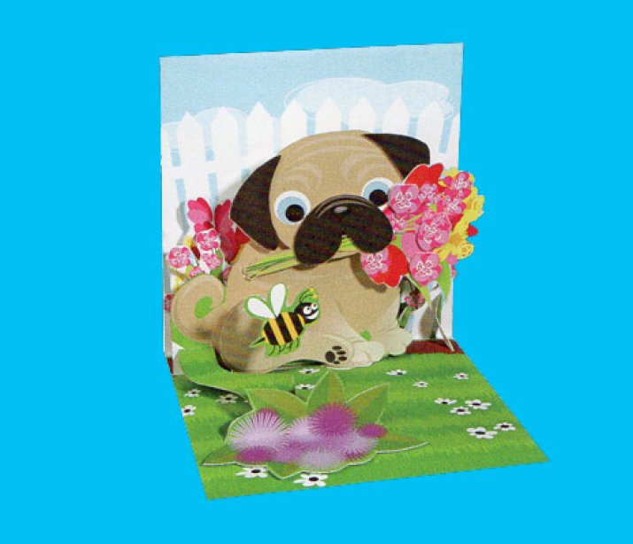 Pop Up Cards