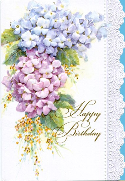 CAROL 'S ROSE GARDEN