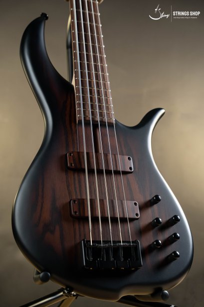 F-Bass BN5 Antique Brown Burst