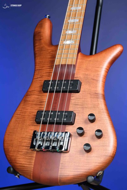 Spector Euro 4 RST - Sienna Stain