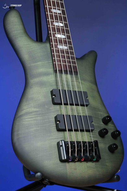Spector Euro 5 LX - Haunted Moss Matte