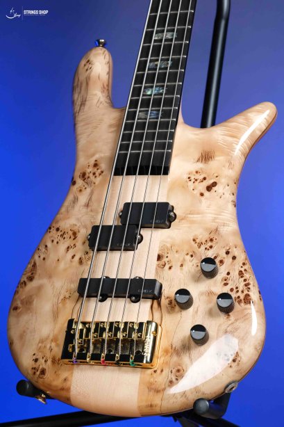 Spector Euro 5 CST - Natural Gloss