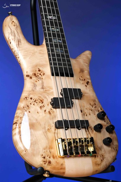 Spector Euro 5 CST - Natural Gloss