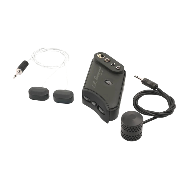 LR Baggs HiFi Duet