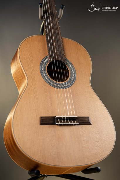 Höfner Master Series HM65-Z
