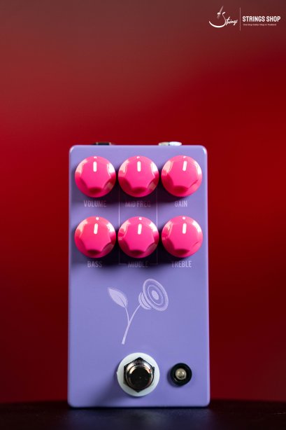 JHS THE VIOLET (PURPLE)