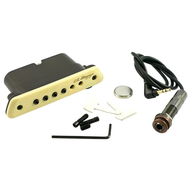 L.R. Baggs M1 Active