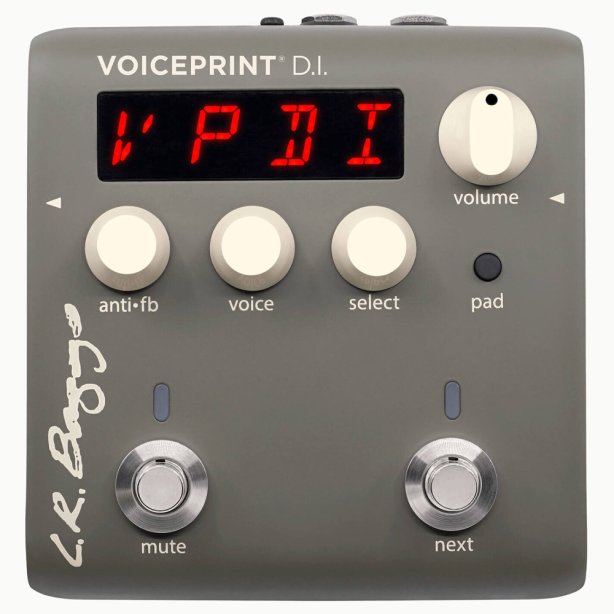 L.R. Baggs Voiceprint Acoustic DI