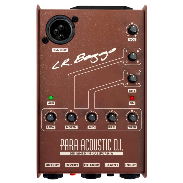 L.R. Baggs Para DI