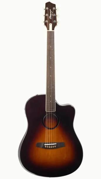 LR Baggs AEG-1  Acoustic Electric Guitar - Sunburst, Sitka Spruce Top
