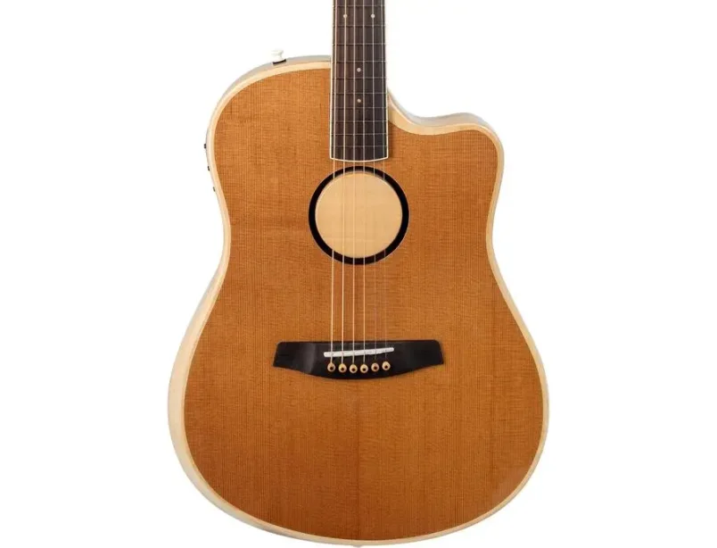 LR Baggs AEG-1 Acoustic Electric Guitar, Torrefied Sitka Spruce