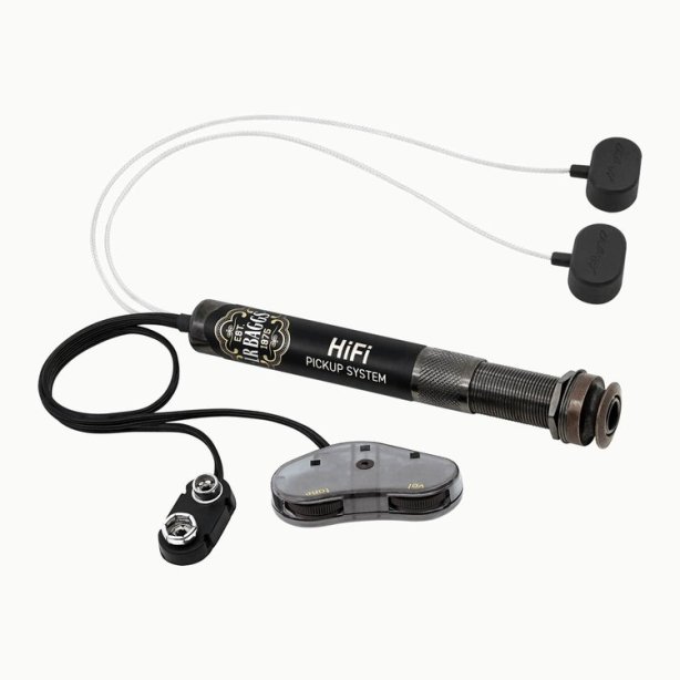 L.R. BAGGS HiFi System with Volume and Tone Control