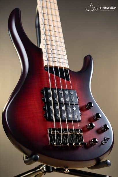 MTD Kingston Super5 Maple Fingerboard 5-String Electric Bass Dr. Brown&#039;s Burst