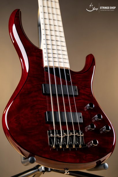 MTD Kingston Z5 Figured Maple Top, Mahogany Body, Maple Fretboard - Trans Cherry Finish