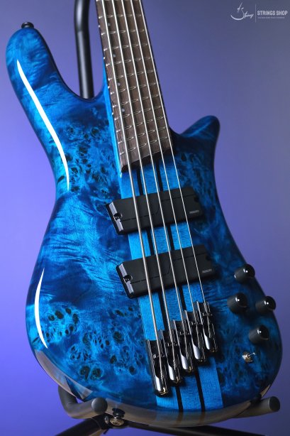Spector NS Dimension 5 - Black &amp; Blue Gloss