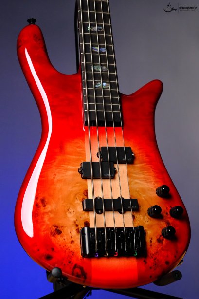 SPECTOR EURO 5 CST - NATURAL RED BURST GLOSS