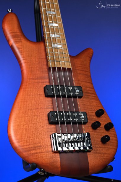 Spector Euro 5 RST - Sienna Stain Matte