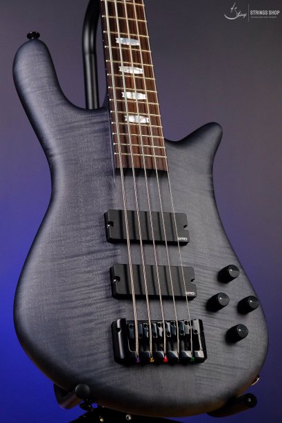 Spector Euro 5 LX - Transparent Black Stain Matte