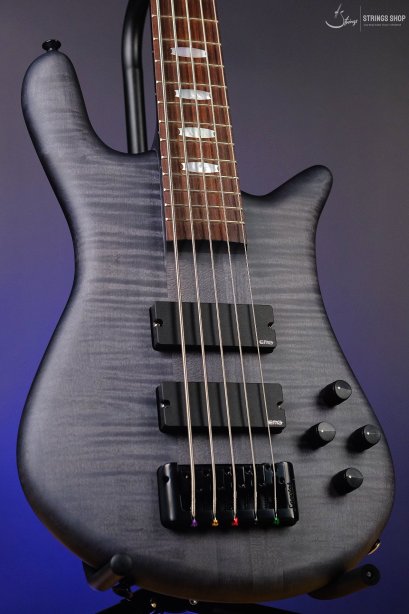Spector Euro 5 LX - Transparent Black Stain Matte