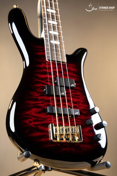 Spector Icon NS-2 Bolt-On Black Cherry Gloss