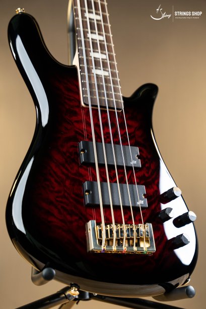 Spector Icon NS-5 Bolt-On Black Cherry Gloss