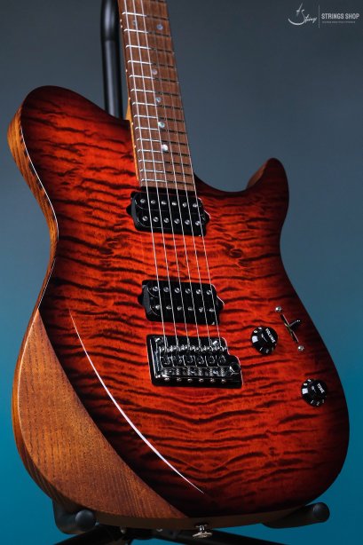 TNT Custom 24