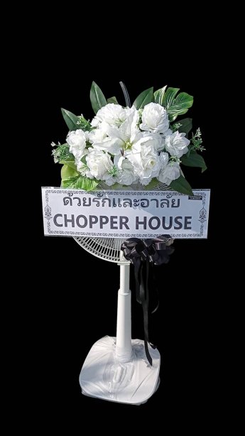 พัดลม Hatari 52