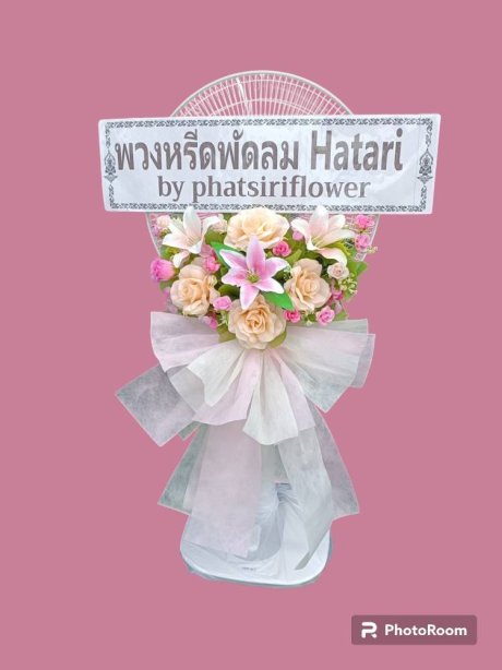 พัดลม Hatari 65
