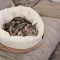 FikaGO Soufflé Pet Bed