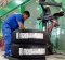 Michelin Energy XM2+ ยางประหยัดน้ำมัน คุ้มค่า และทนทาน