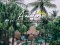 [ Review ] Anantara Huahin Resort : หรูหราสไตล์ไทยริมหาดหัวหิน