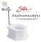 S-5981 ส้วมนั่งยอง มีฐาน แบบใช้ฟลัช สีขาว - Star Sanitaryware